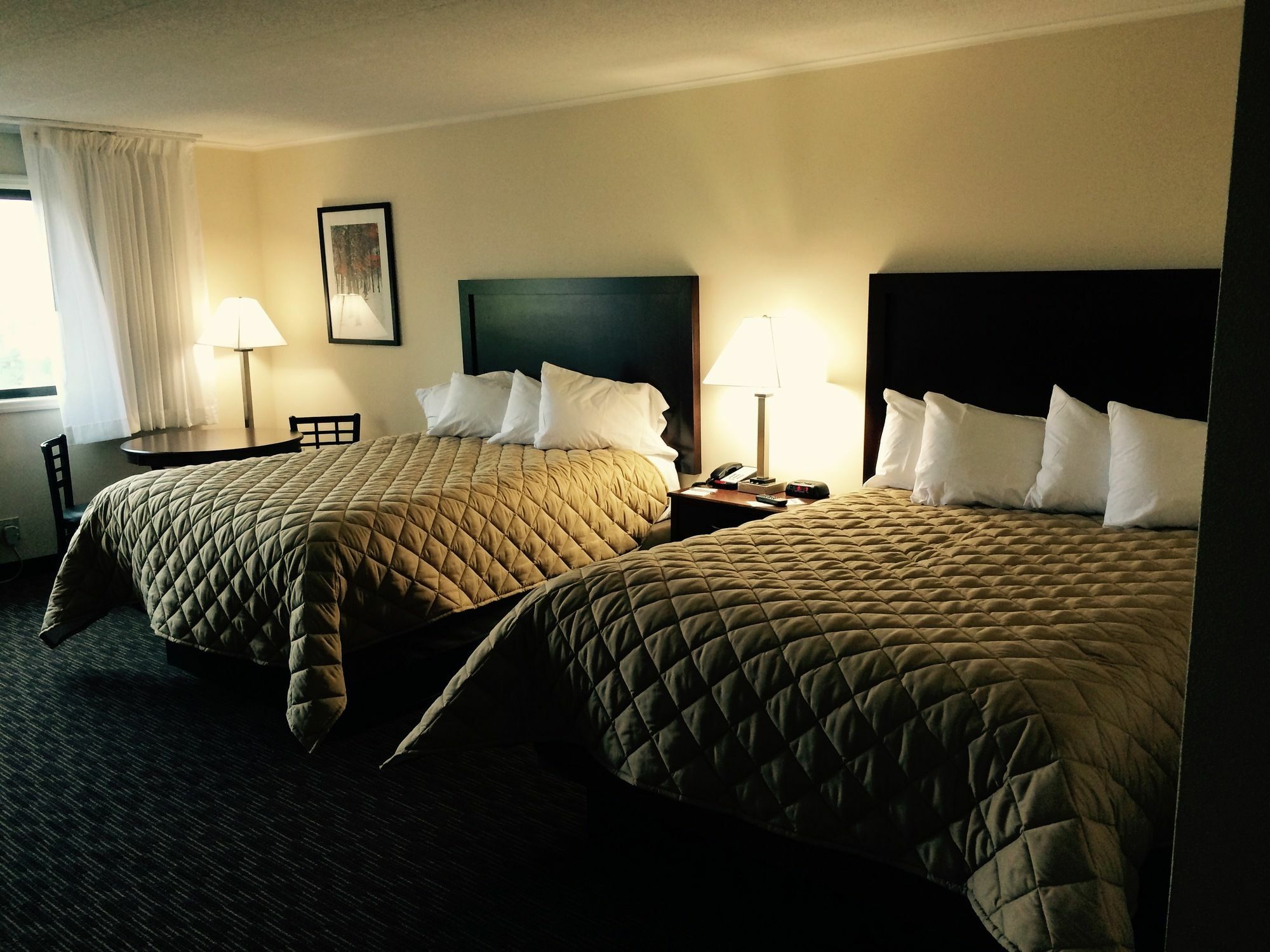 Chestnut Mountain Resort Galena Eksteriør billede